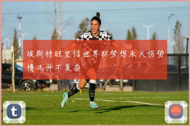 埃斯特旺坚信世界杯梦想未灭伤势情况并不复杂