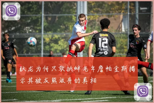 狄龙为何只敢挑衅老年詹帕金斯揭示其被灰熊放弃的真相