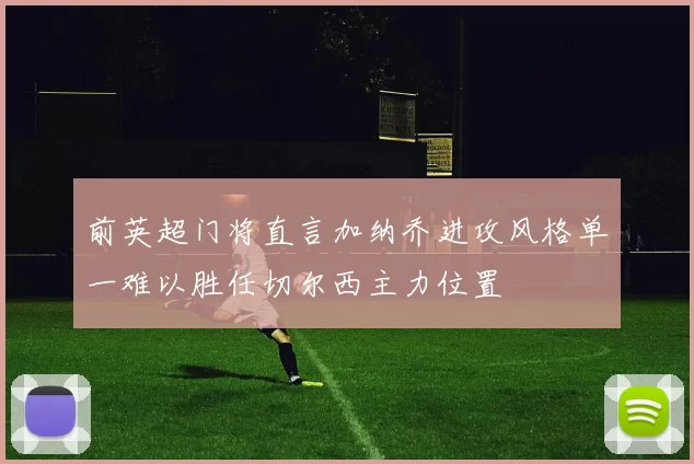 前英超门将直言加纳乔进攻风格单一难以胜任切尔西主力位置